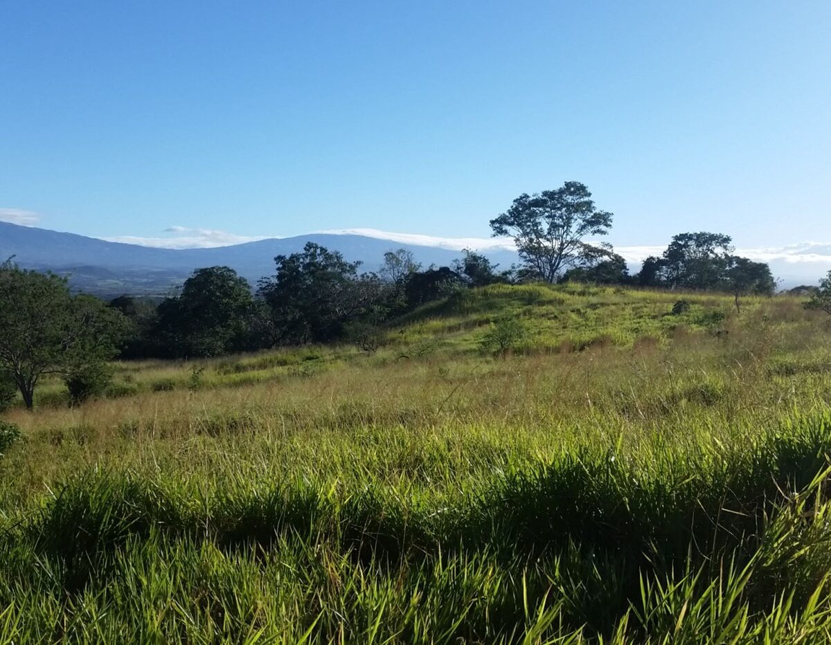 Building Lots for sale in Atenas Costa Rica