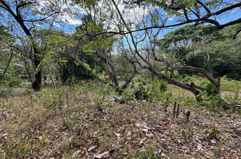 Building Lots for sale in Atenas Costa Rica