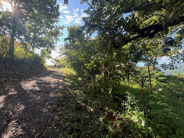 Homes for sale in Atenas Costa Rica