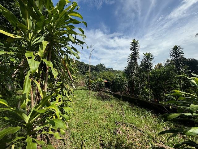 Homes for sale in Atenas Costa Rica