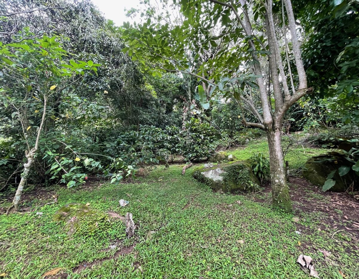 Homes for sale in Atenas Costa Rica