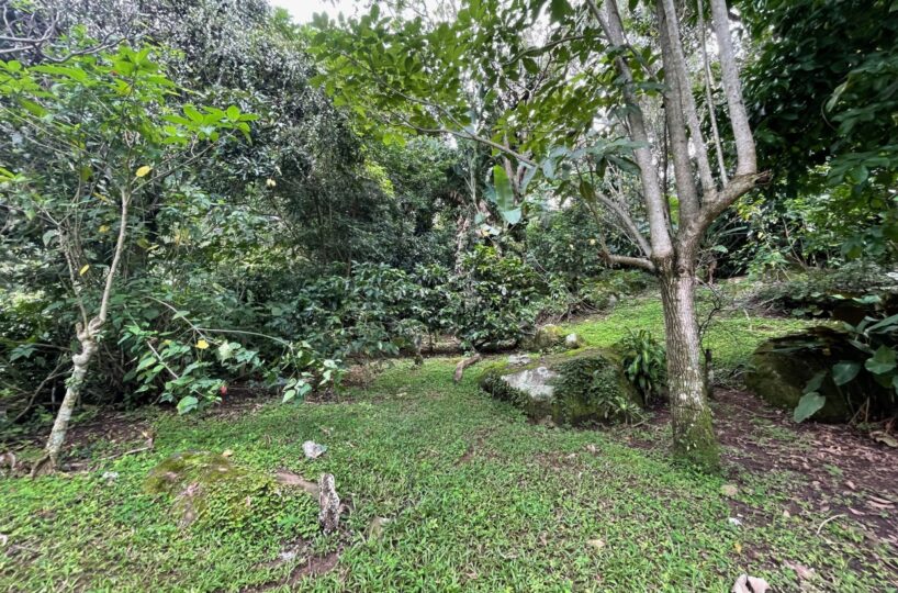 Homes for sale in Atenas Costa Rica