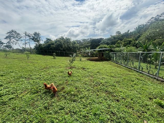 Homes for sale in Atenas Costa Rica