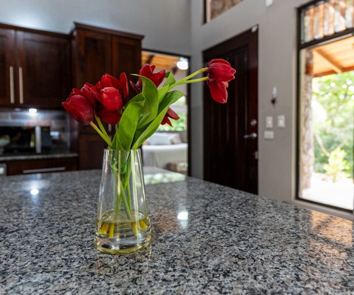 Homes for sale in Atenas Costa Rica