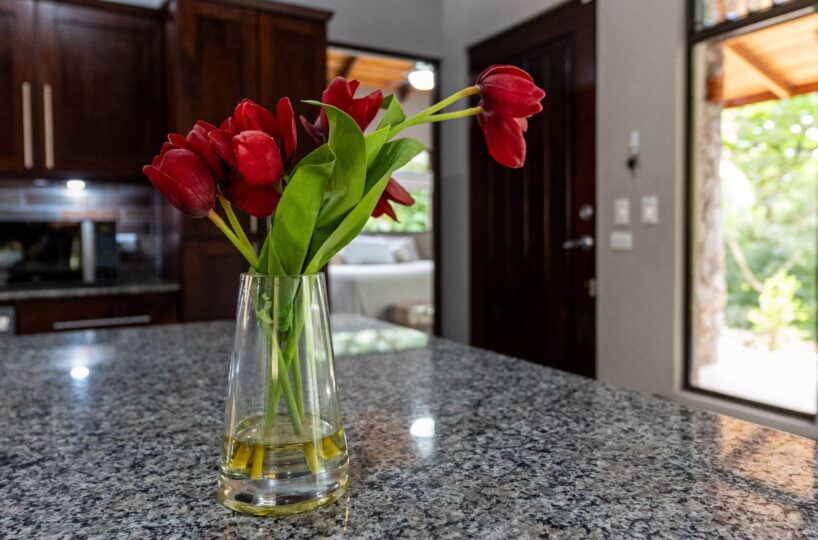 Homes for sale in Atenas Costa Rica