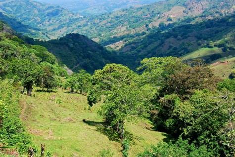 Building Lots for sale in Atenas Costa Rica