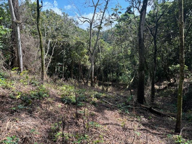Building Lots for sale in Atenas Costa Rica