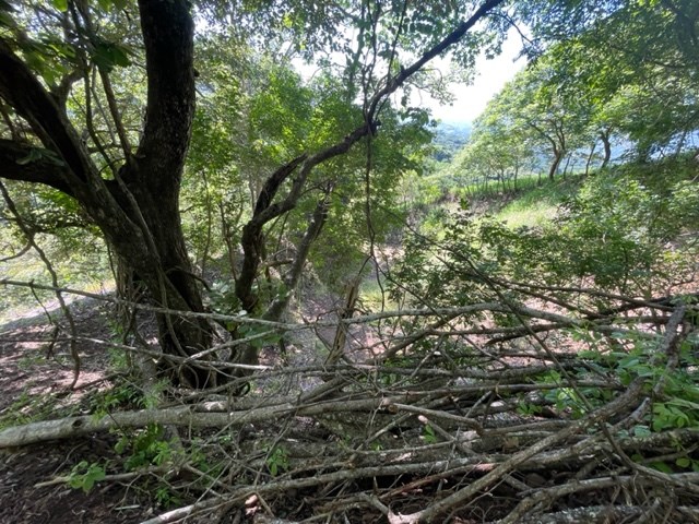 Building Lots for sale in Atenas Costa Rica