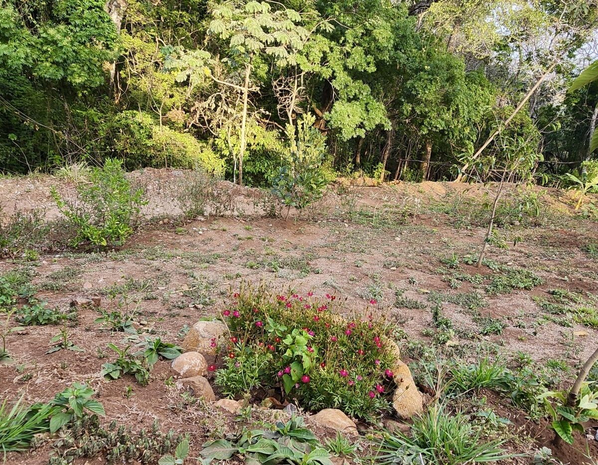 Building Lots for sale in Atenas Costa Rica