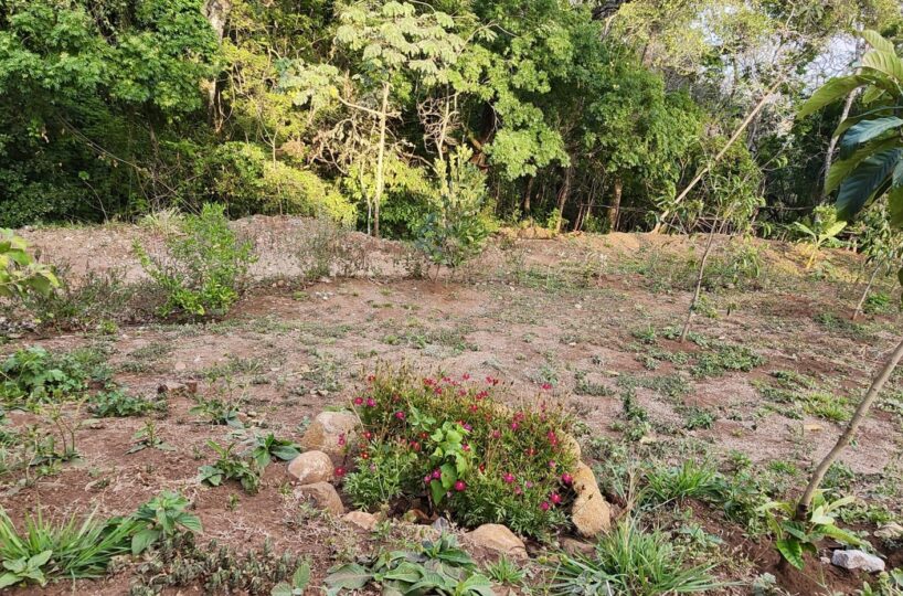 Building Lots for sale in Atenas Costa Rica