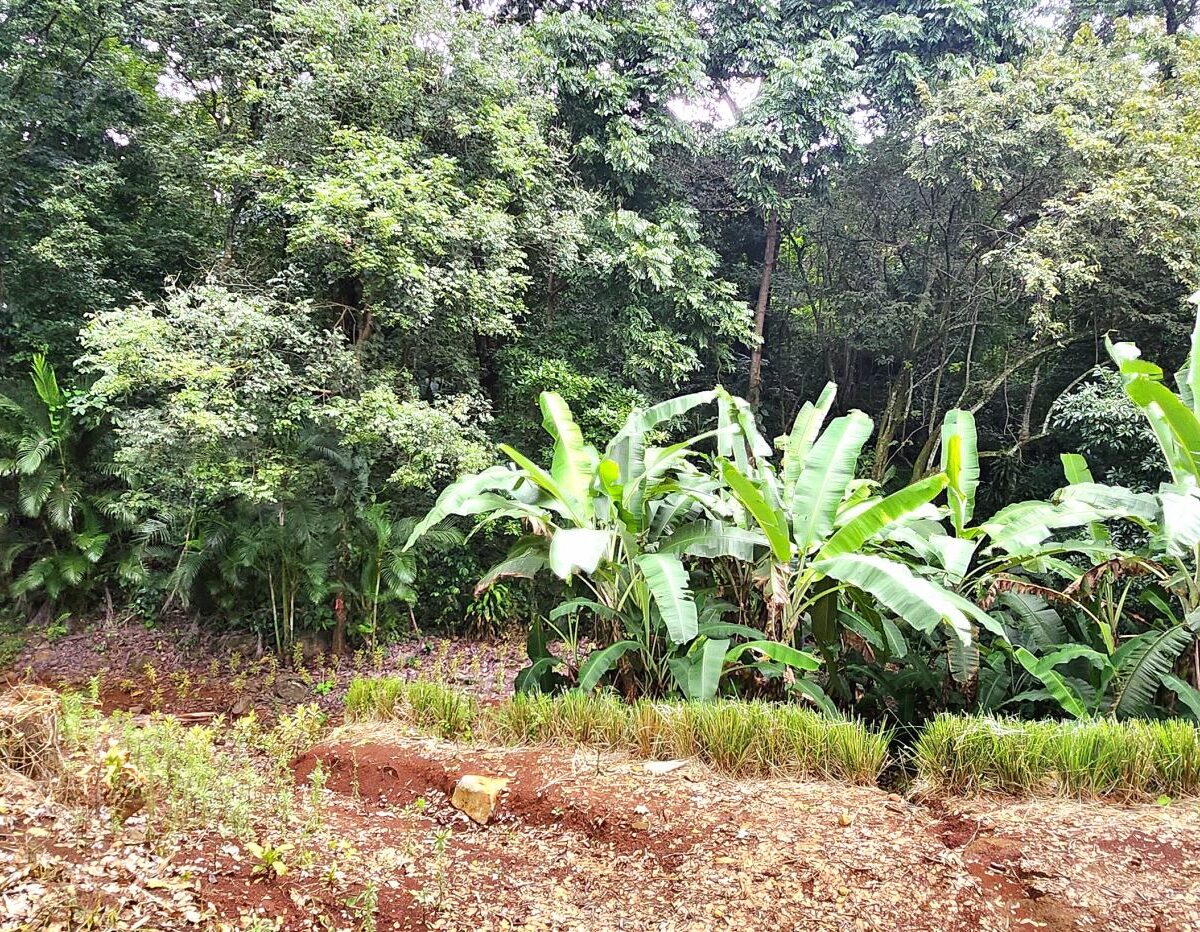 Building Lots for sale in Atenas Costa Rica