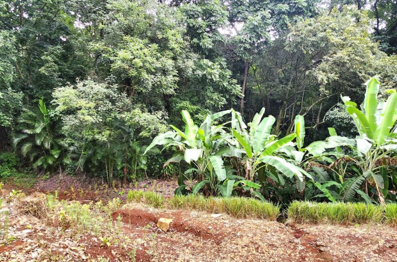 Building Lots for sale in Atenas Costa Rica