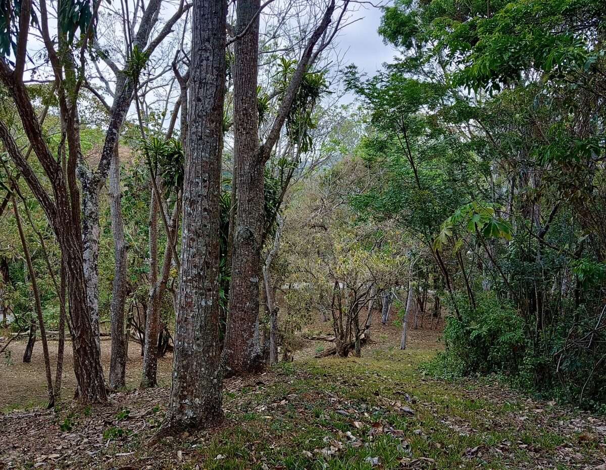 Building Lots for sale in Atenas Costa Rica