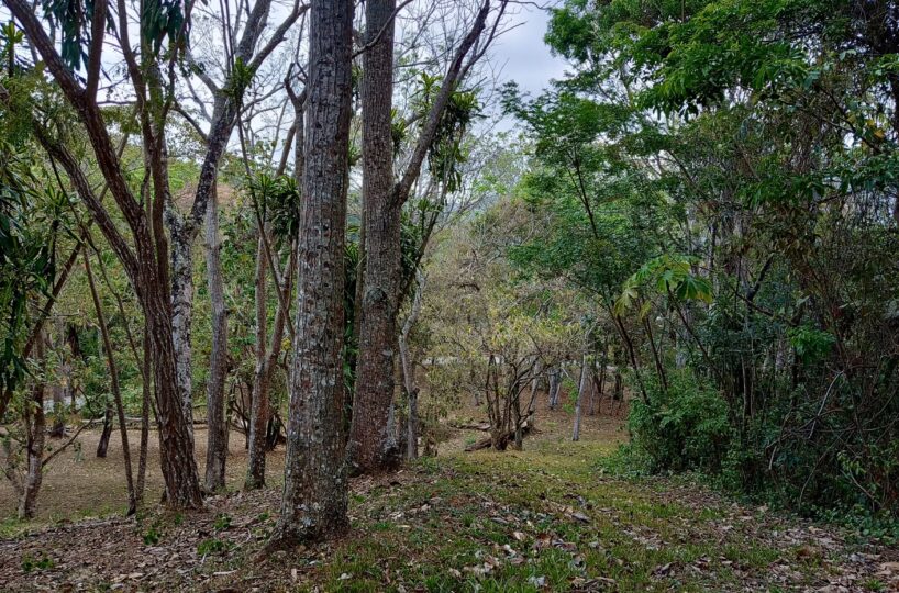 Building Lots for sale in Atenas Costa Rica