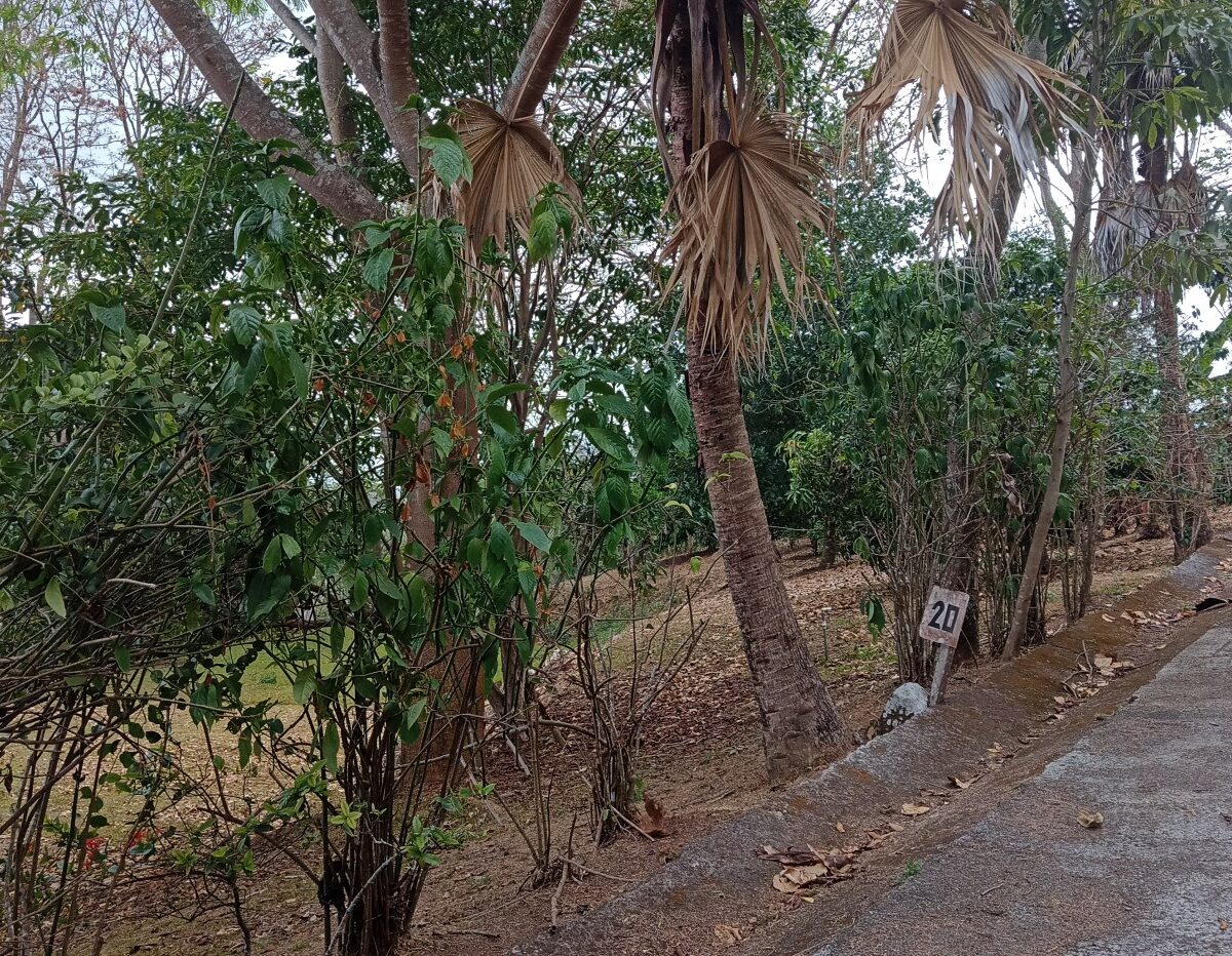 Building Lots for sale in Atenas Costa Rica