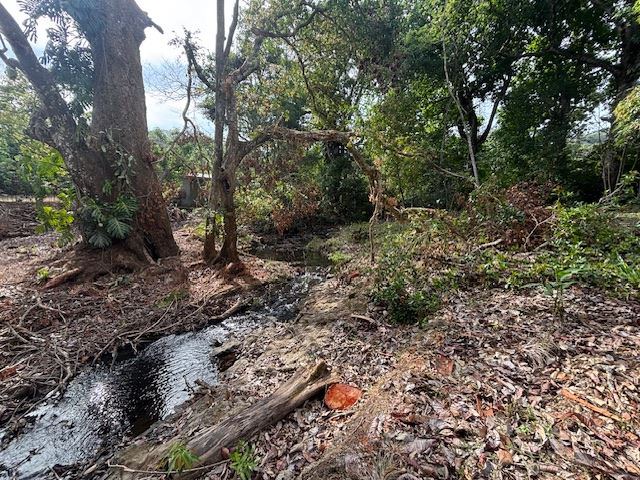 Building Lots for sale in Atenas Costa Rica