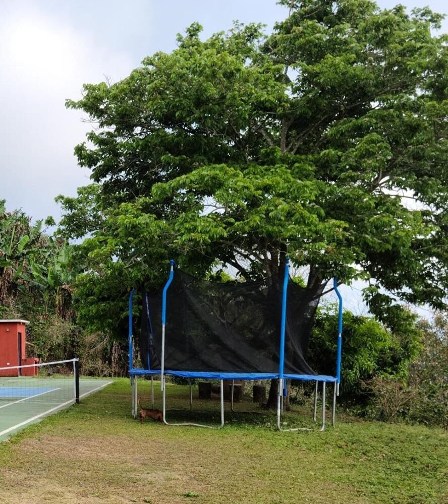 Homes for sale in Atenas Costa Rica