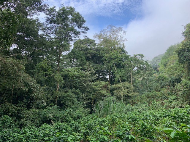 Building Lots for sale in Atenas Costa Rica