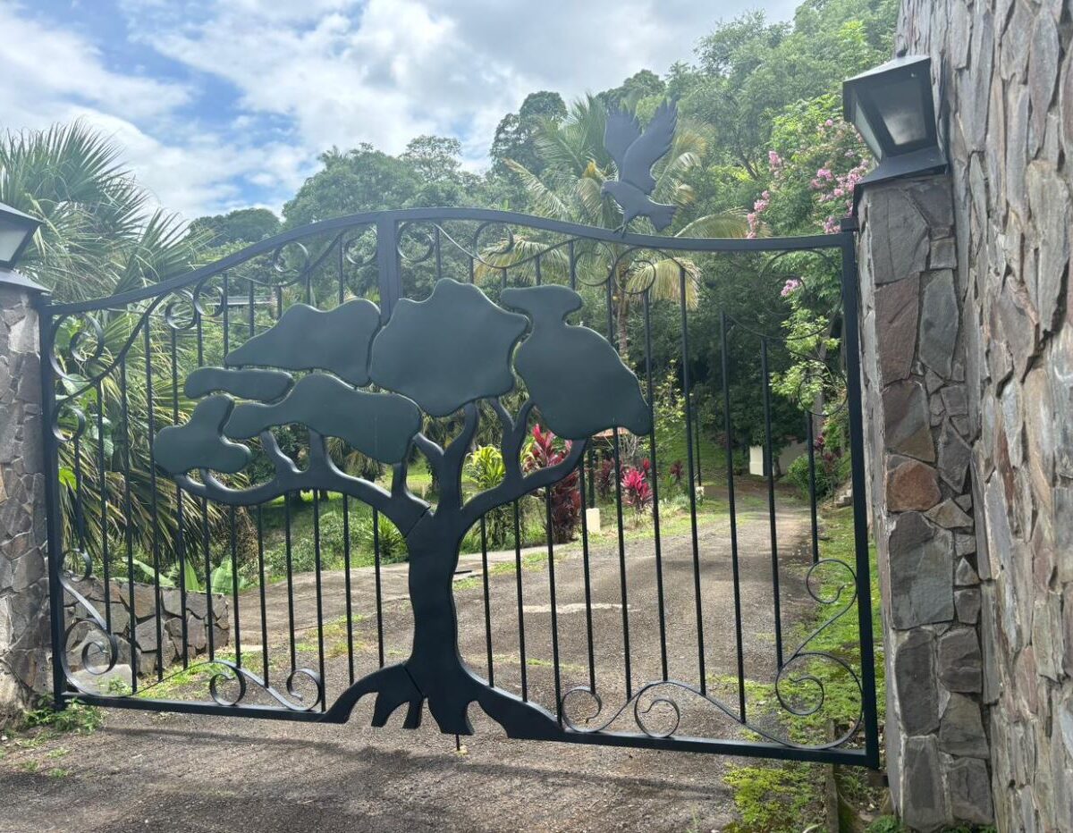 Homes for sale in Atenas Costa Rica