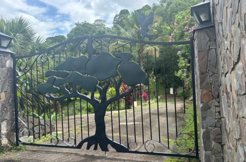 Homes for sale in Atenas Costa Rica