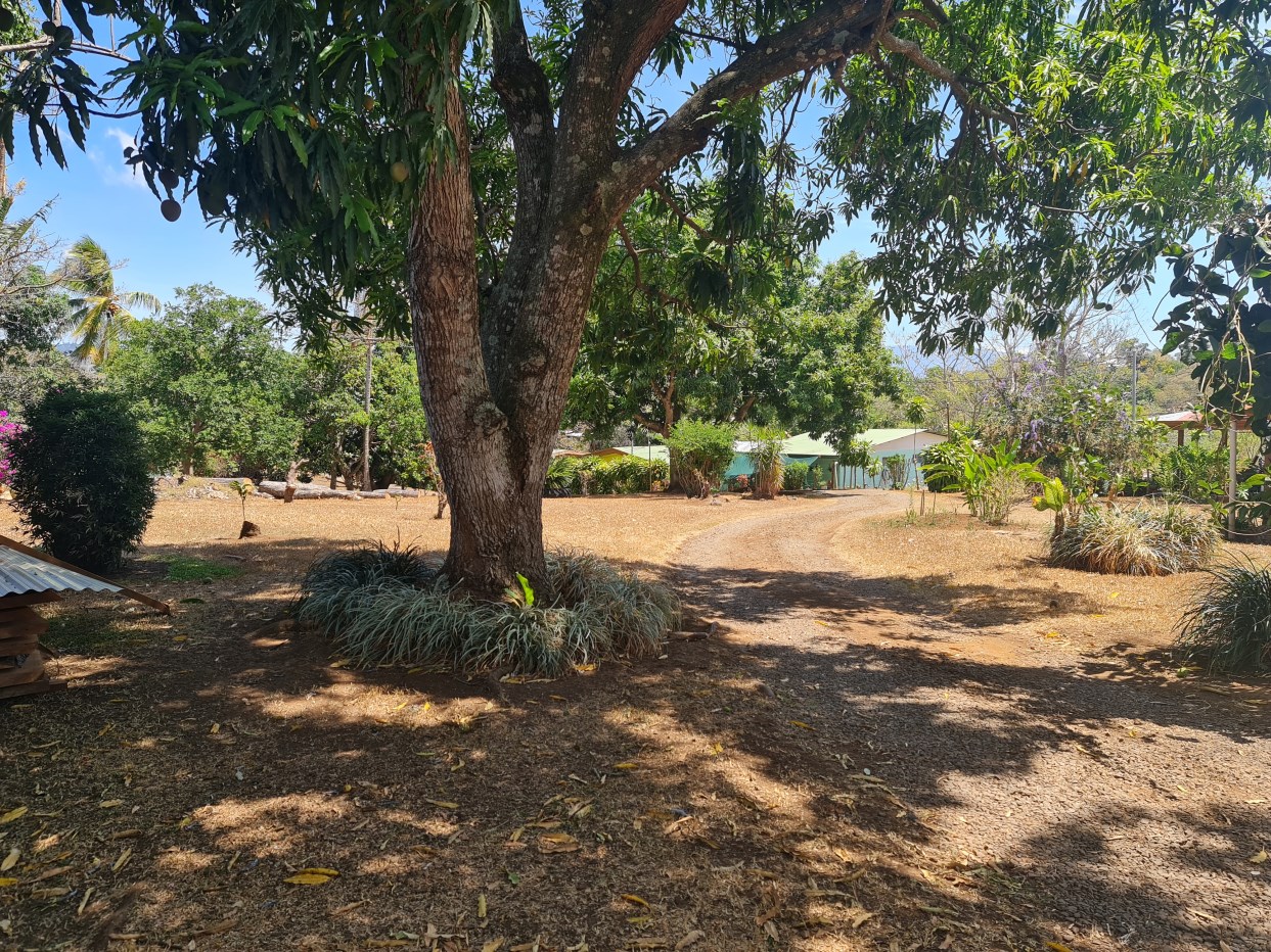 Homes for sale in Atenas Costa Rica