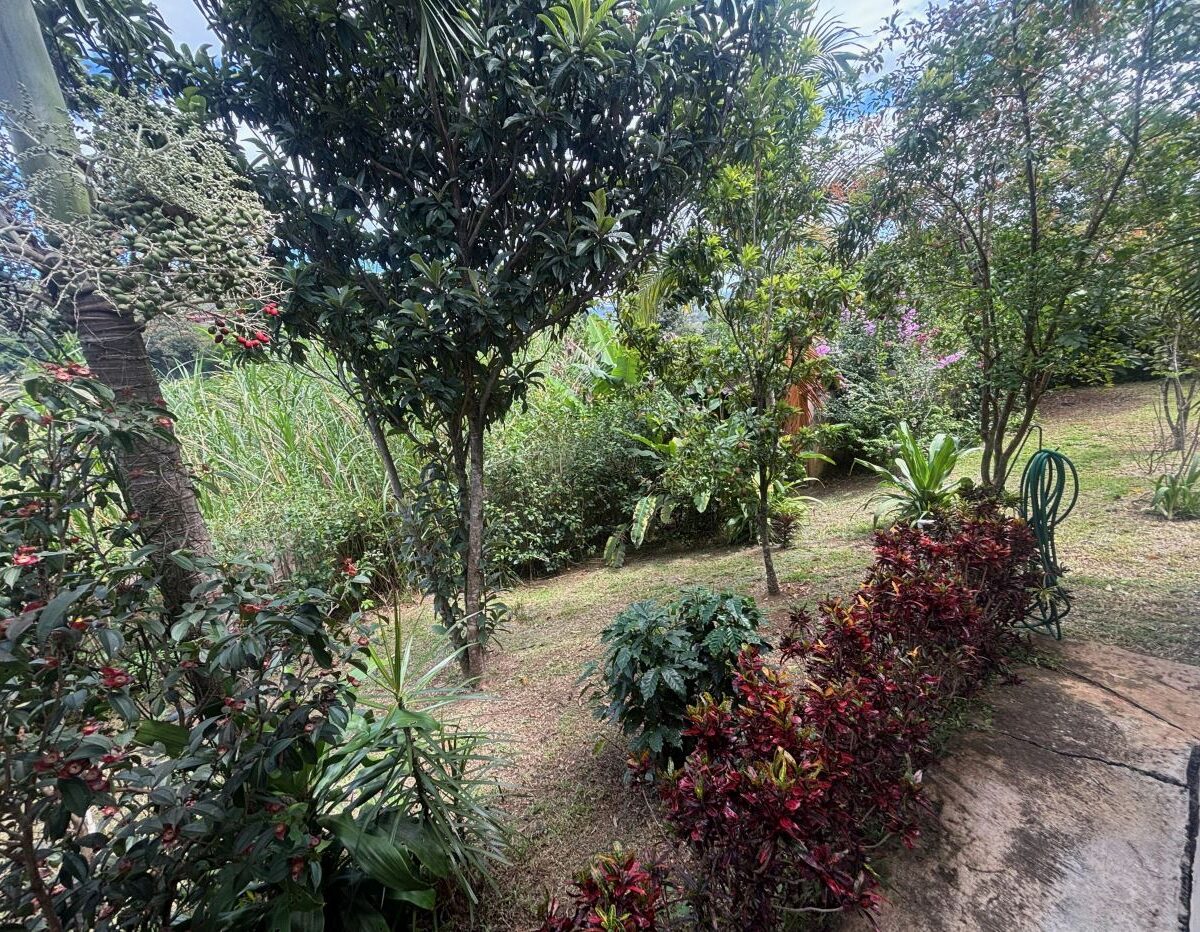 Homes for sale in Atenas Costa Rica