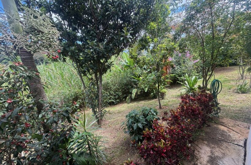 Homes for sale in Atenas Costa Rica
