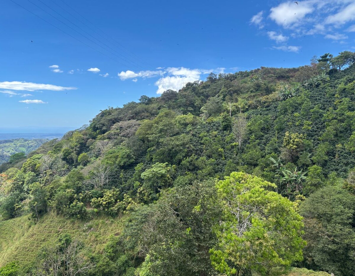 Homes for sale in Atenas Costa Rica