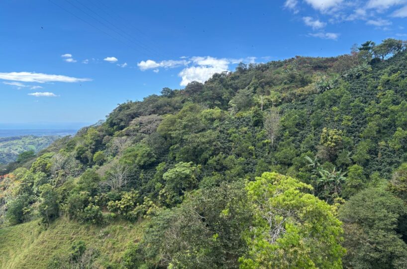 Homes for sale in Atenas Costa Rica