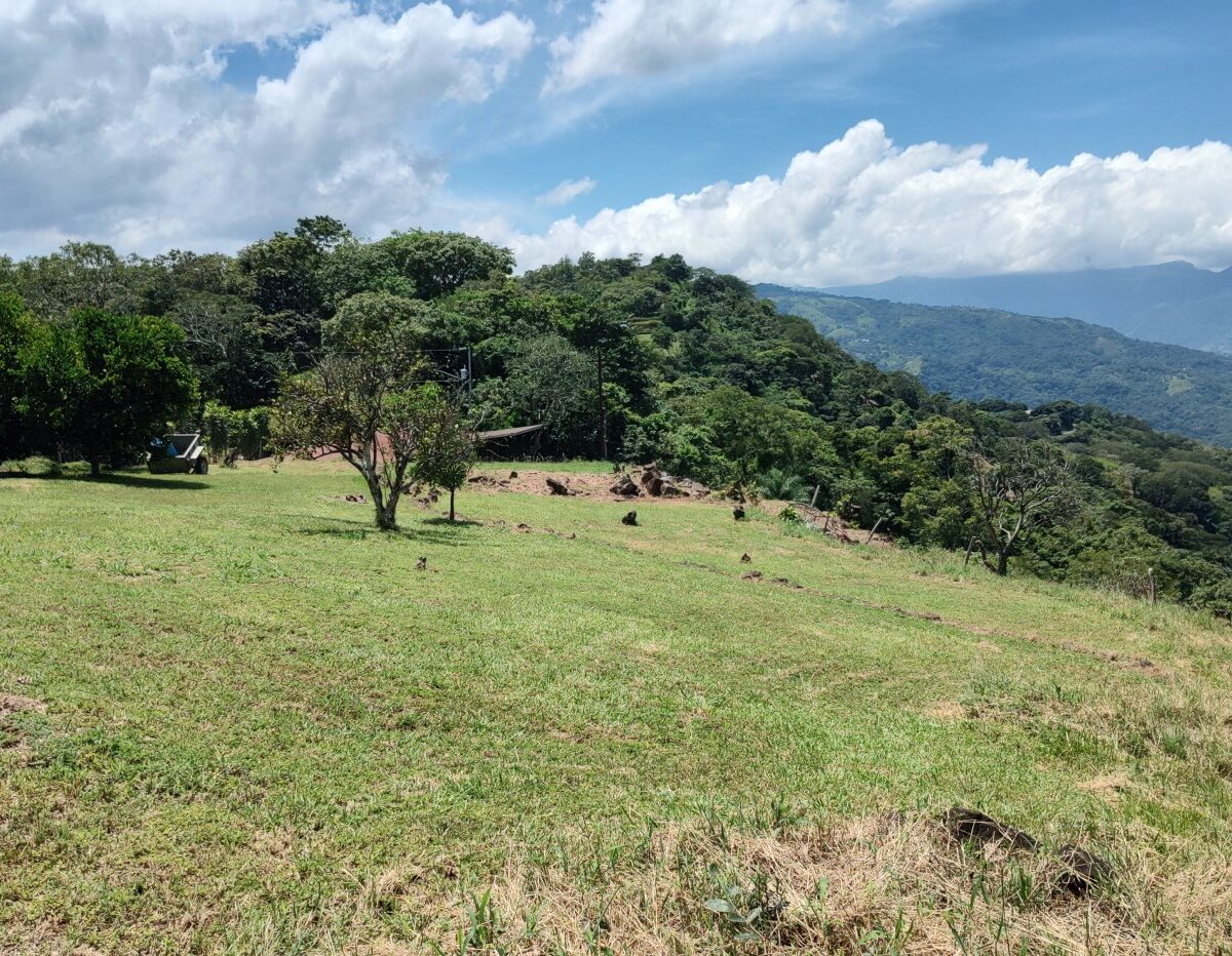 Homes for sale in Atenas Costa Rica