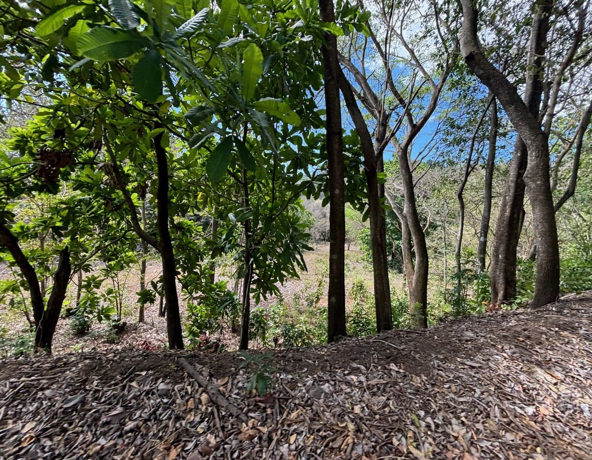 Building Lots for sale in Atenas Costa Rica
