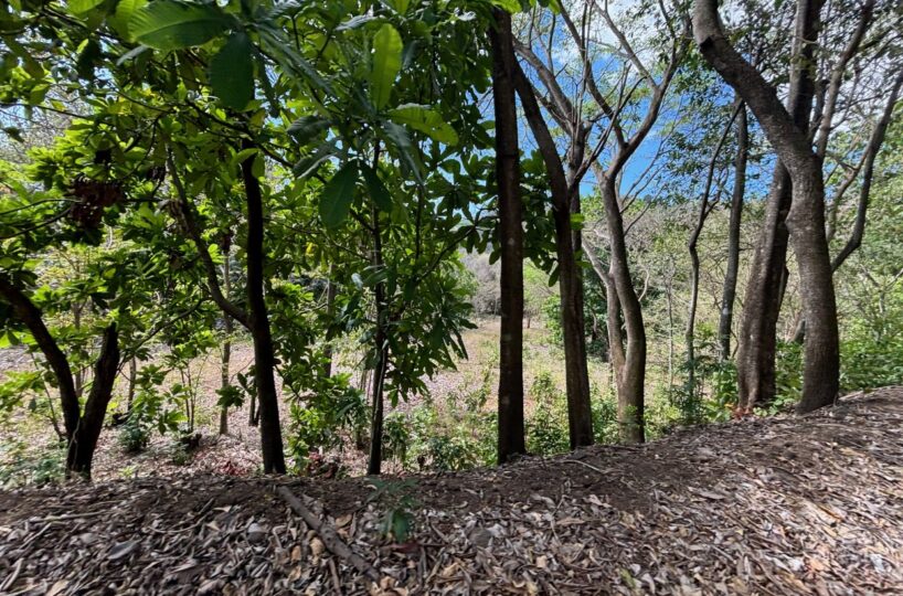 Building Lots for sale in Atenas Costa Rica