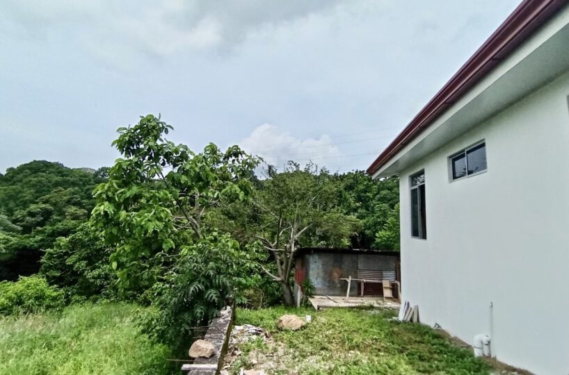 Homes for sale in Atenas Costa Rica