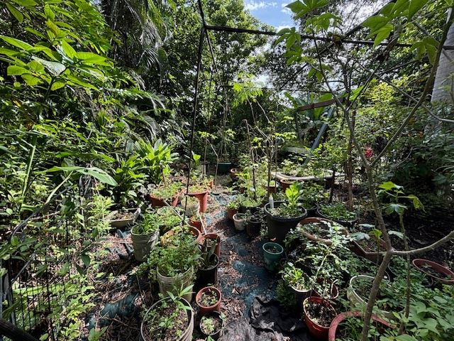 Homes for sale in Atenas Costa Rica