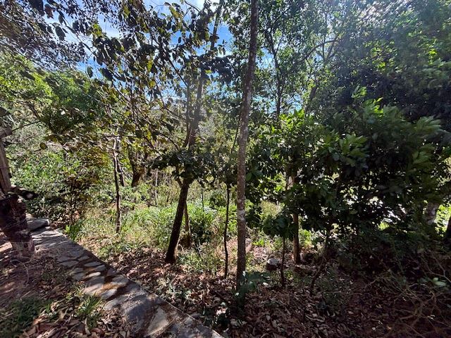 Building Lots for sale in Atenas Costa Rica