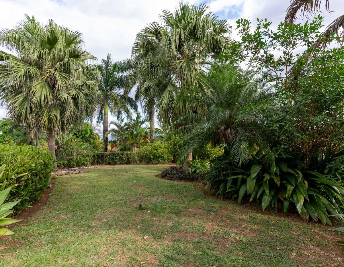 Homes for sale in Atenas Costa Rica