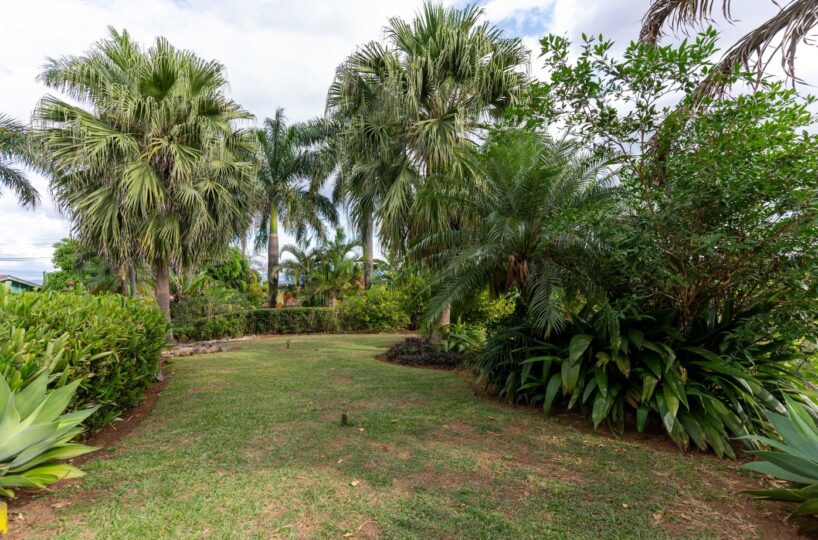 Homes for sale in Atenas Costa Rica