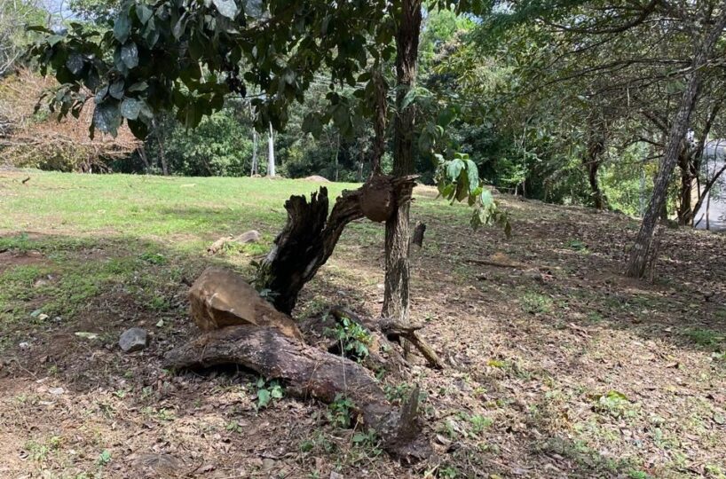 Building Lots for sale in Atenas Costa Rica