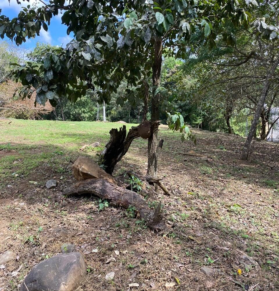 Building Lots for sale in Atenas Costa Rica