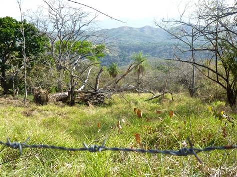 Building Lots for sale in Atenas Costa Rica