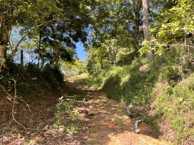 Building Lots for sale in Atenas Costa Rica