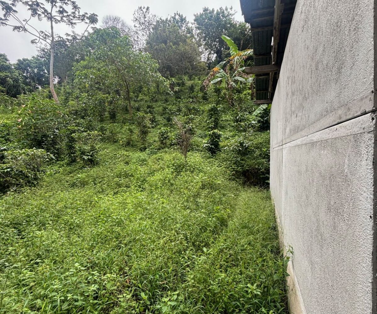 Building Lots for sale in Atenas Costa Rica