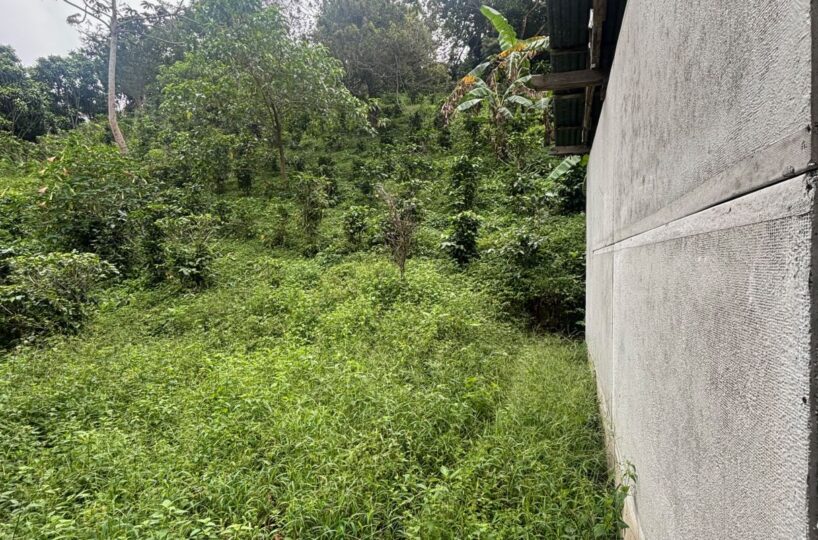 Building Lots for sale in Atenas Costa Rica