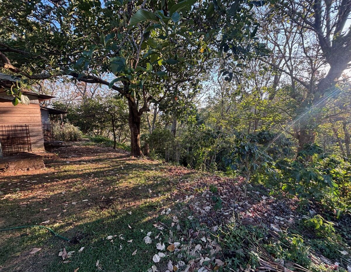 Homes for sale in Atenas Costa Rica