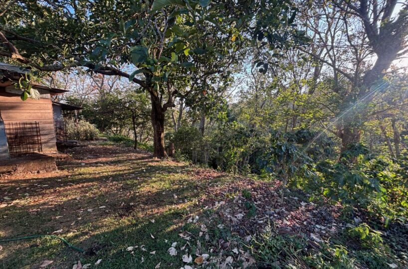 Homes for sale in Atenas Costa Rica