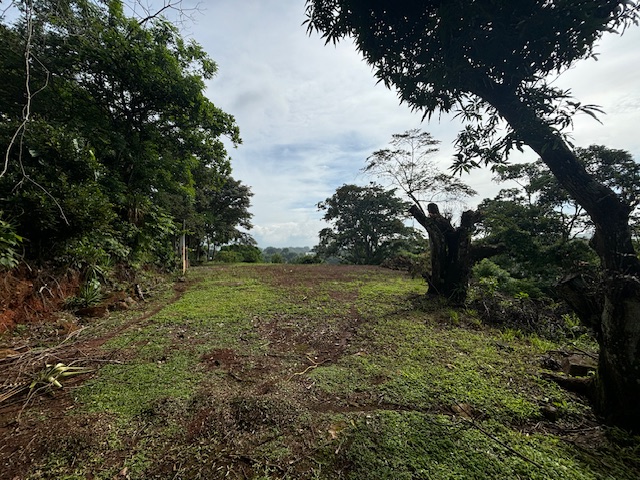Building Lots for sale in Atenas Costa Rica