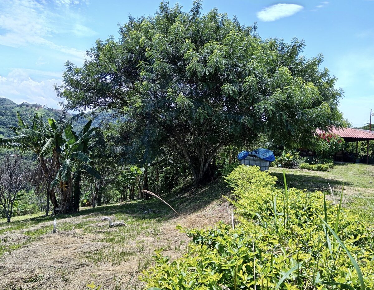 Building Lots for sale in Atenas Costa Rica