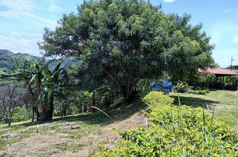 Building Lots for sale in Atenas Costa Rica