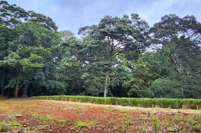 Building Lots for sale in Atenas Costa Rica