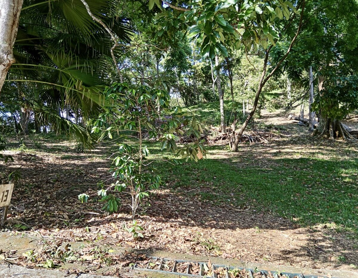 Building Lots for sale in Atenas Costa Rica